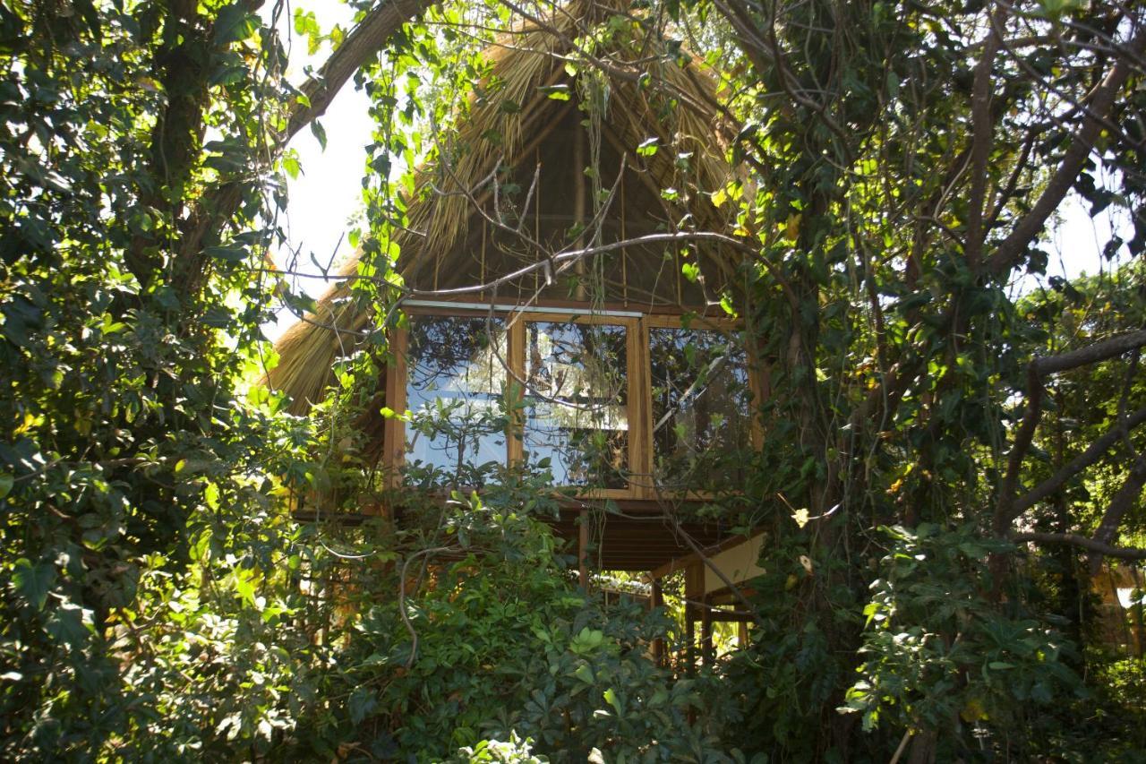 El Pital, Chocolate Paradise Balgue Exteriér fotografie